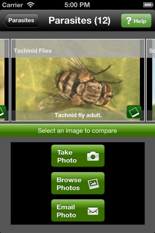 Insect ID: The Ute Guide screenshot 4