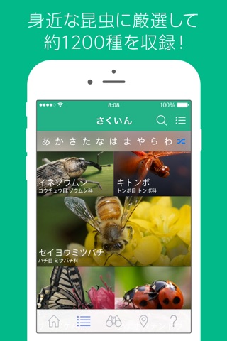 美しい写真図鑑 - にほんの昆虫 - プチペディア screenshot 2