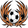 Brisbane Roar Fan