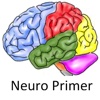 Neuro Primer