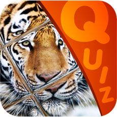 Activities of My Top Animal Magic Tile Playtime Quiz - Free App