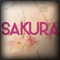 L'application "Sakura"  vous offre la possibilité de consulter toutes les infos utiles du restaurant (Tarifs, produits, avis…) mais aussi de recevoir leurs dernières News ou Flyers sous forme de notifications Push