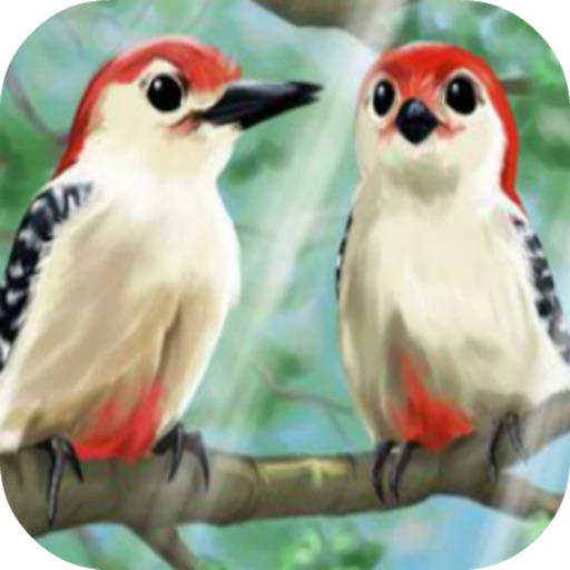 Birdies iOS App