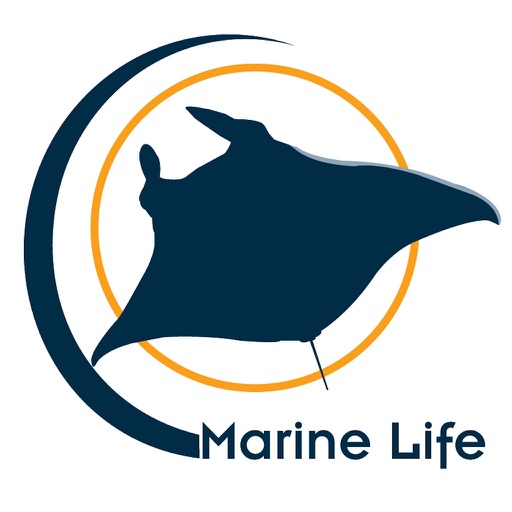 Marine Life - Marine Species Guide