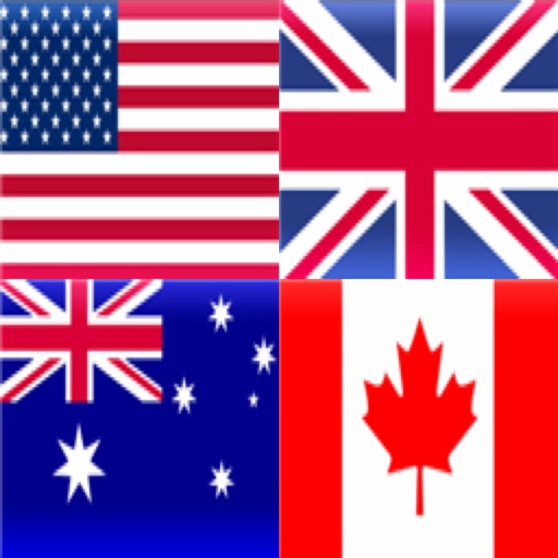 Matching Flags Icon