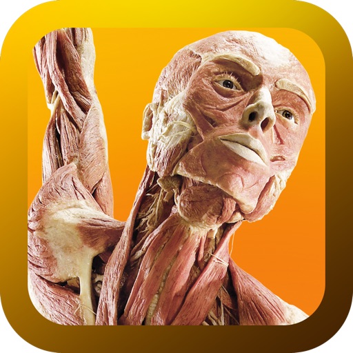 Under Your Skin: The Body Worlds App' Icon