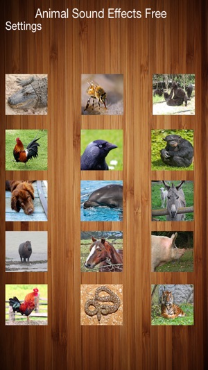 Animal Sound Effects Free!(圖1)-速報App