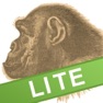Get Ape Test Lite for iOS, iPhone, iPad Aso Report