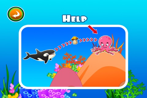 Killer Whale - Enter Orca's Trail Paradise screenshot 3