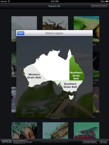 Insect ID: the Ute Guide tablet edition screenshot 3