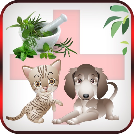 Pet Home Remedies icon