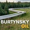 Burtynsky: Oil