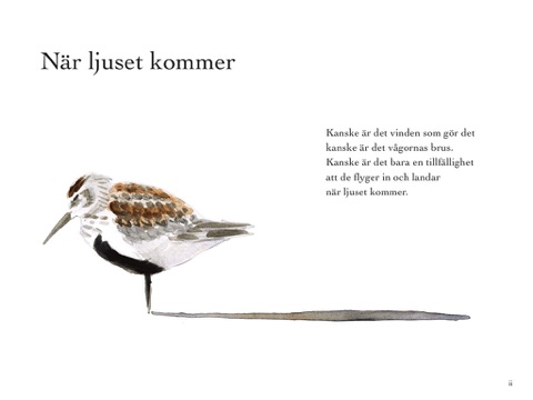 skärmavbild 1