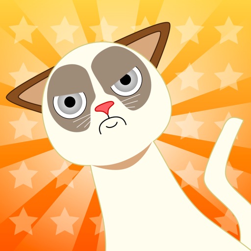 Kitty Cat Party - LOL Cats Icon