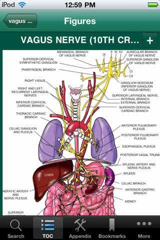 Taber's Cyclopedic Medical Dictionary, 22nd Ed. screenshot 2