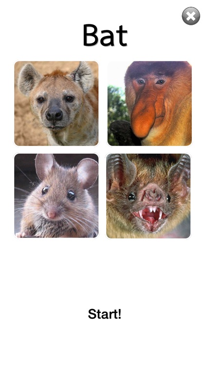 30s Guess Animal : Free Animal Quiz Fun Game