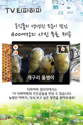 Game screenshot TV 티파하파 hack