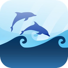 Activities of Marine Quiz : Ocean Water Mammals Species Animal Guess Game