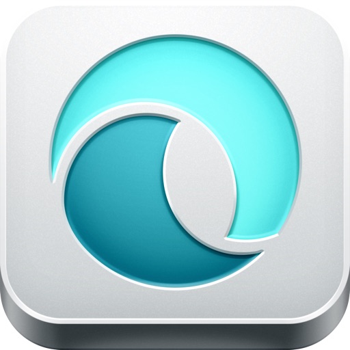 Payroll by Wave Icon