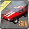 3D Circle Racing Pro