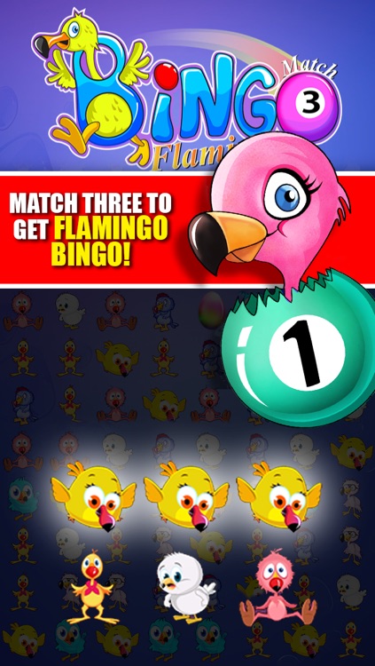 Flamingo Bingo FREE - Match 3 Three Puzzle Action Adventure Game