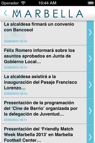 Ayuntamiento de Marbella screenshot 2