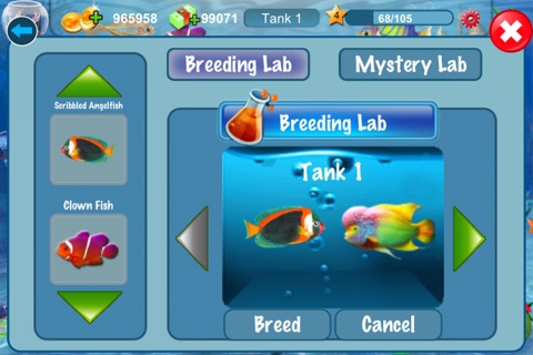 Dream Fish screenshot 3