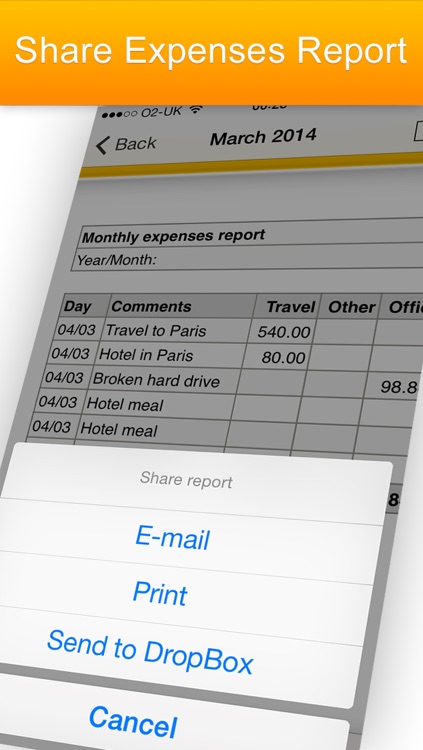 iExpenses - business travel expenses