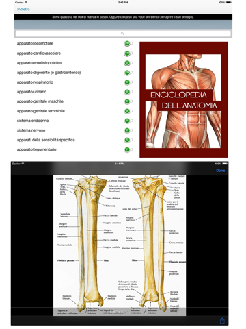 Enciclopedia dell'ANATOMIA - FREEのおすすめ画像2