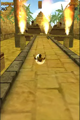 Game screenshot Mummy's Tomb Runner -  3D HD hack