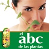 ABC Plantas