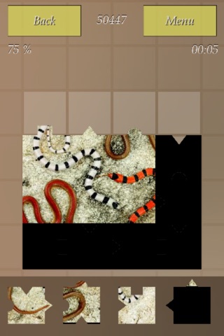 Snakes Puzzles screenshot 4