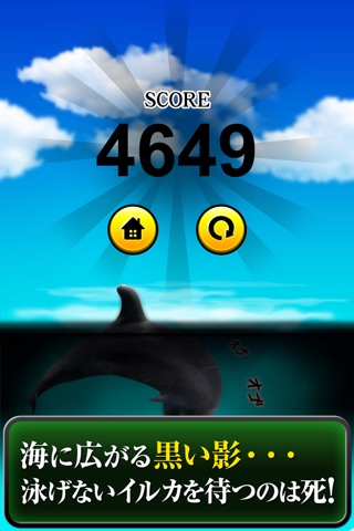 Can Dolphin Stand? screenshot 3