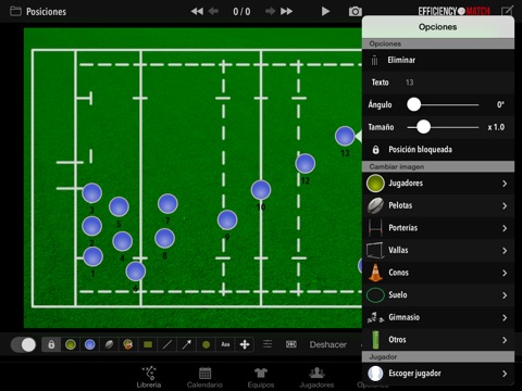 Efficiency Match Rugby screenshot 2