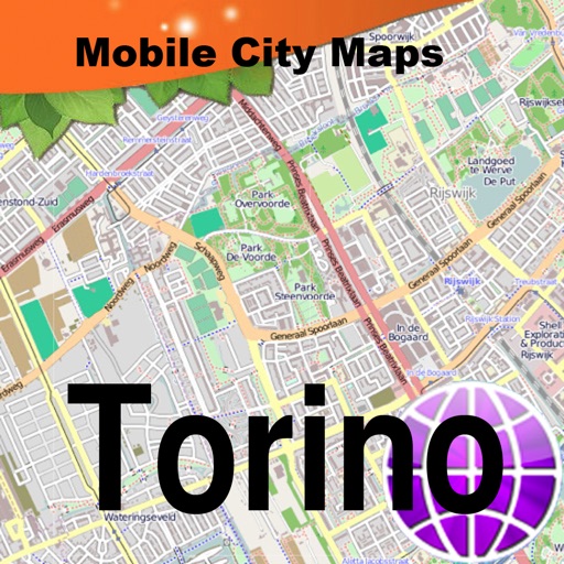 Torino Street Map