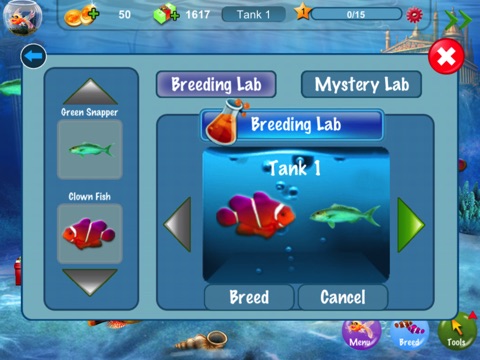 Dream Fish HD screenshot 3