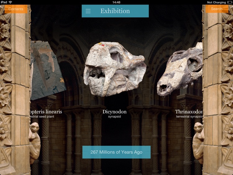 NHM Evolution