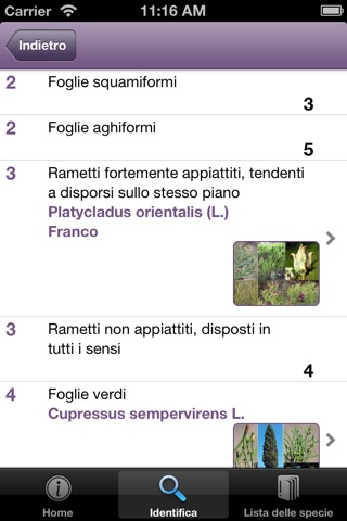 Una guida per organizzare una caccia al tesoro screenshot 3