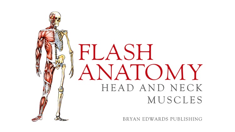 Flash Anatomy Head & Neck Muscles - Free