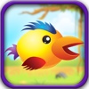 Flying Birdie - Adventure