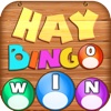 Hay Bingo Pro - Farm Casino Edition