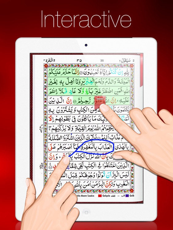 Tajweed Quran in Urdu/Persian Script With Tajweed Guide for iPad