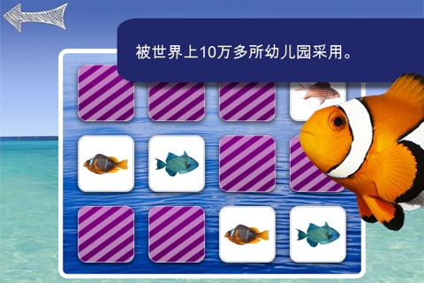 Memo Game Sealife Photo for kids screenshot 4