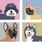 PUPPY GUESS challenges dog lovers to recognize different breed of dogs using interactive, handcrafted, dynamic visual clues