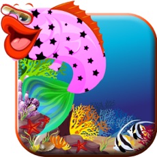 Activities of Fish Adventure under water fun