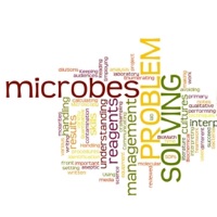 Microbiology Labs