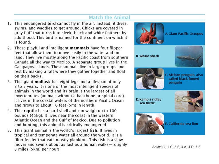 Animal Helpers: Aquariums screenshot-4