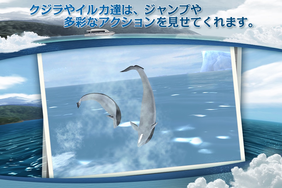 REAL WHALES  Find the cetacean. screenshot 2