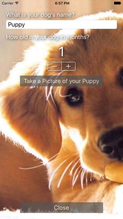 Puddle & Pile - Puppy Toilet Training screenshot-3