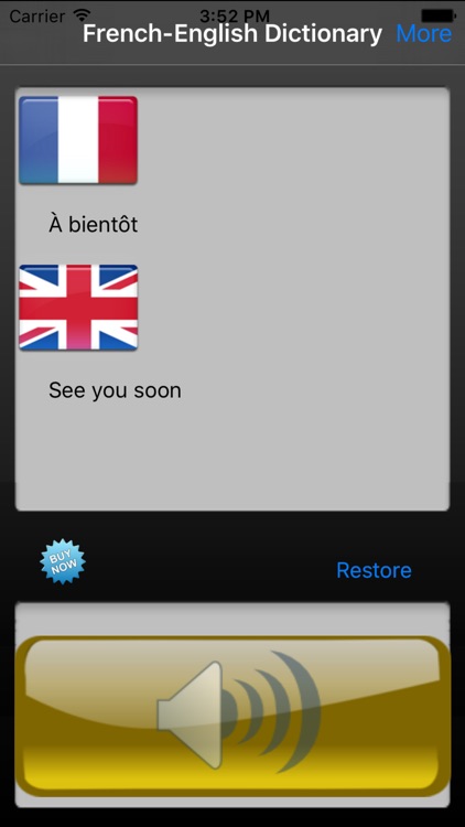 Audio French-English Dictionary